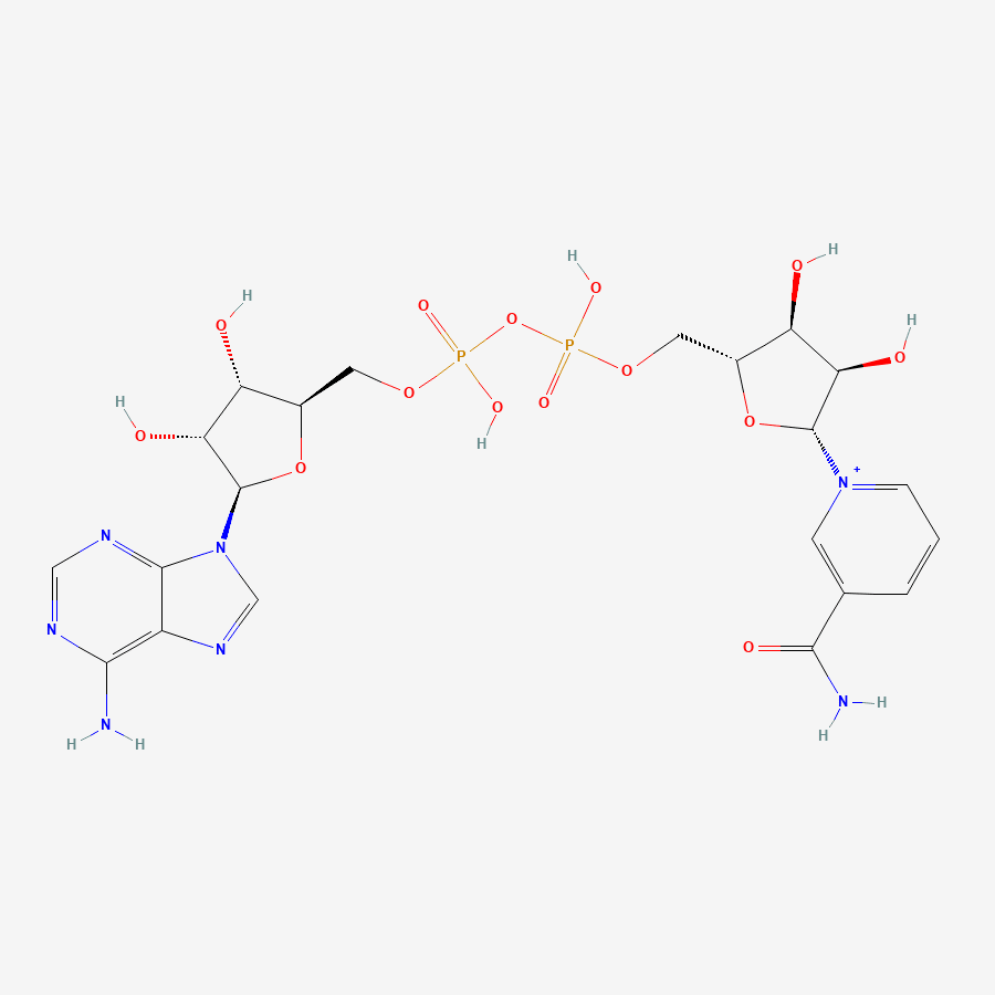 NAD-Peptide-Structure-1